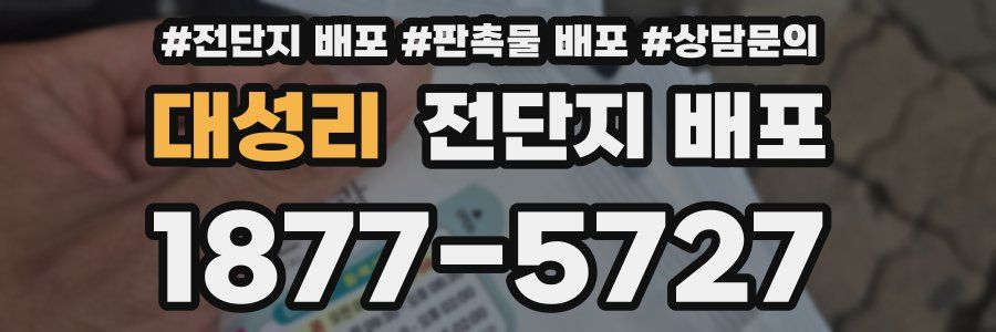 대성리 전단지 배포