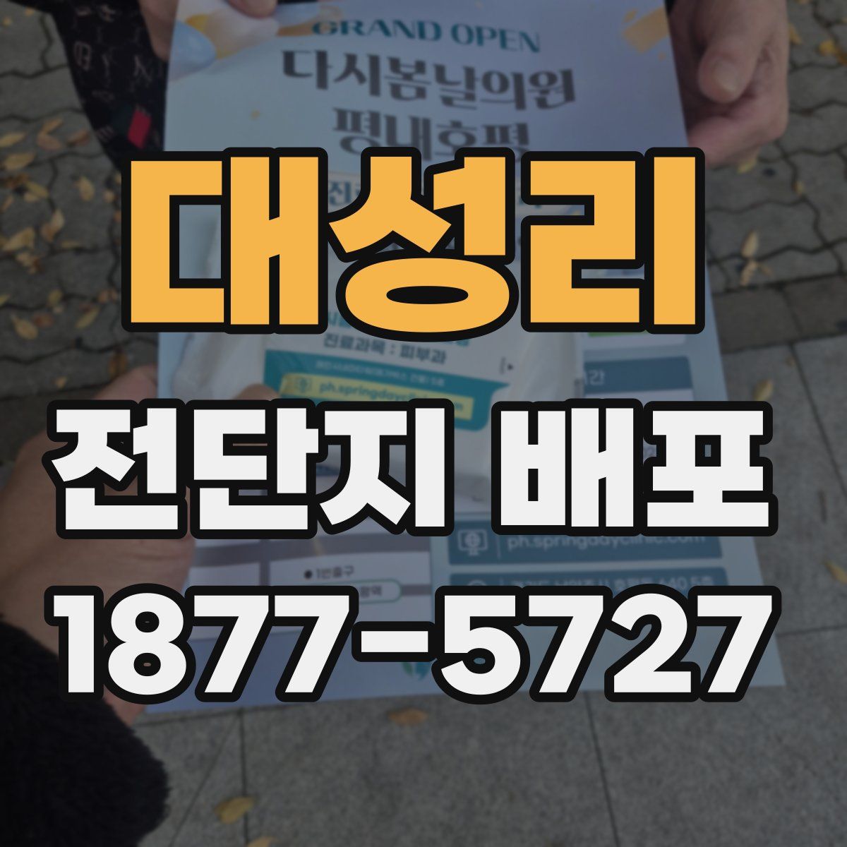 대성리 전단지 배포