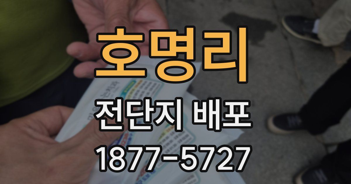 호명리 전단지 배포