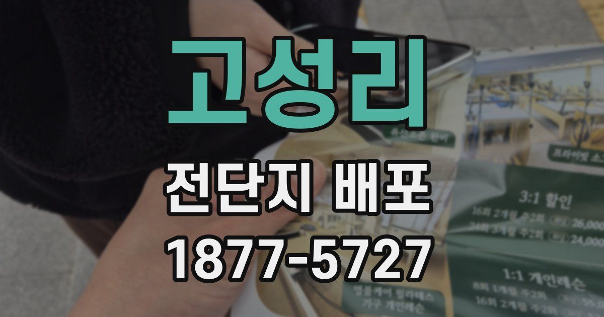 고성리 전단지 배포
