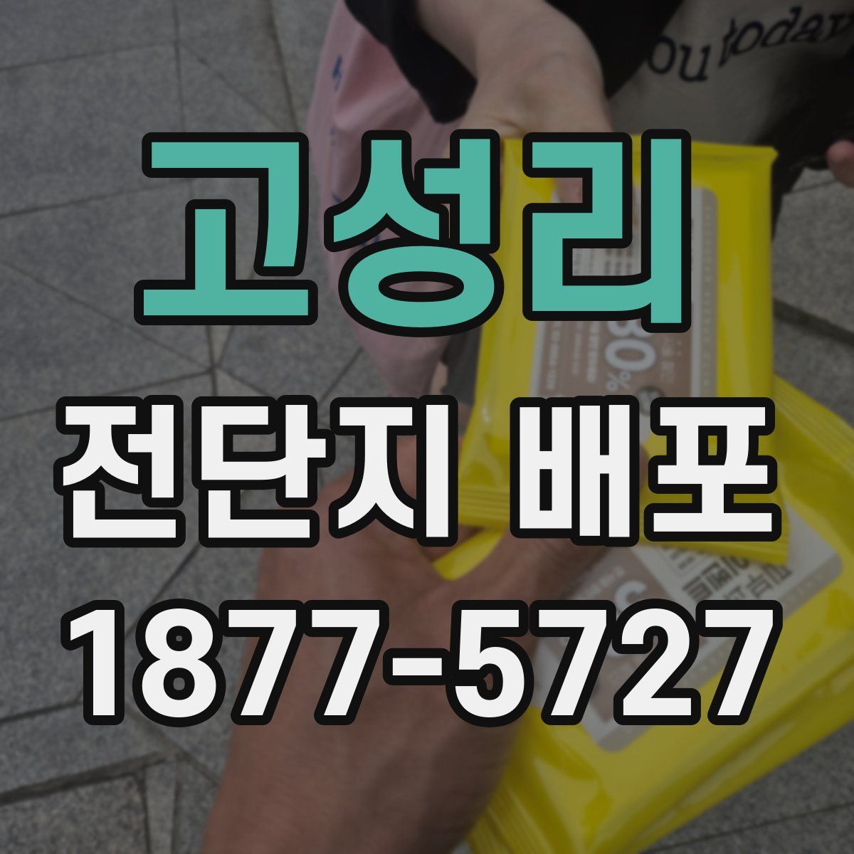 고성리 전단지 배포