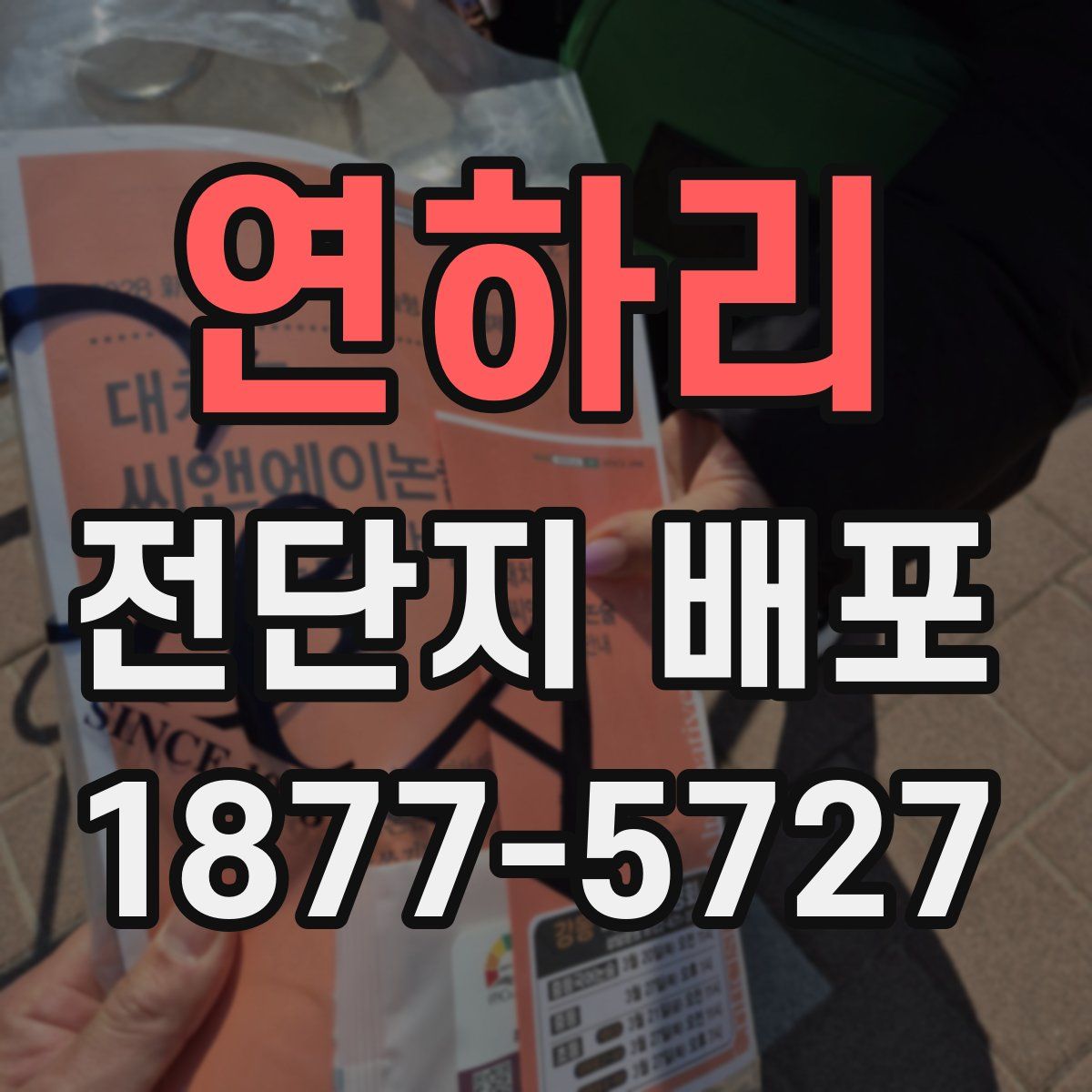 연하리 전단지 배포