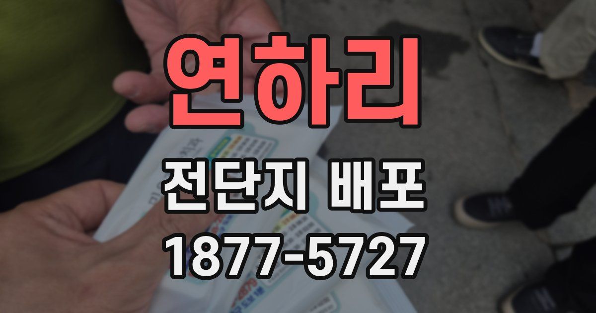 연하리 전단지 배포