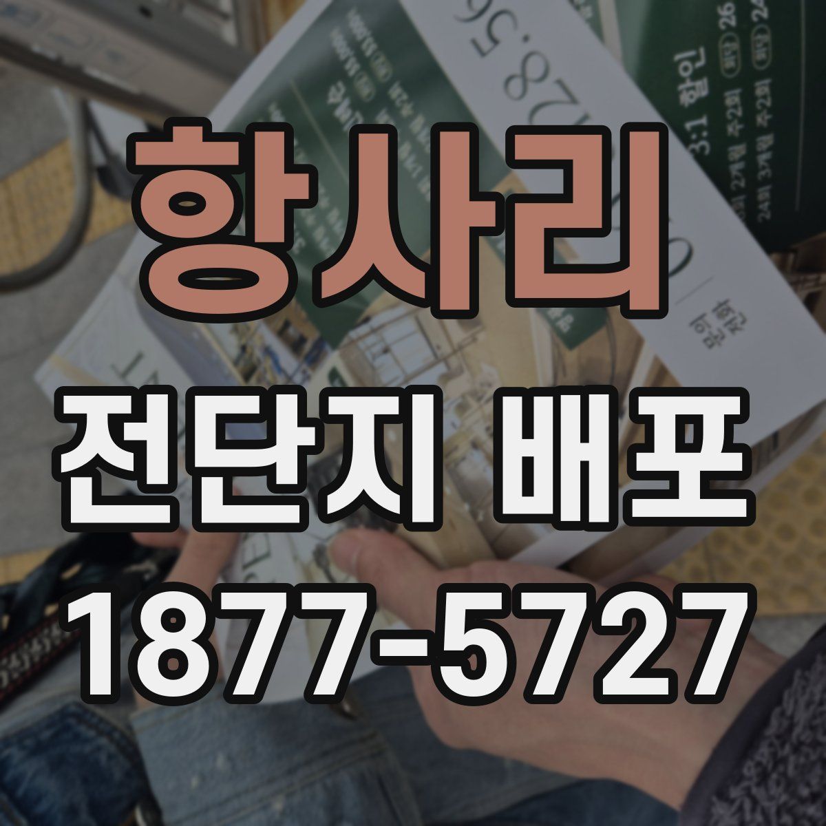 항사리 전단지 배포