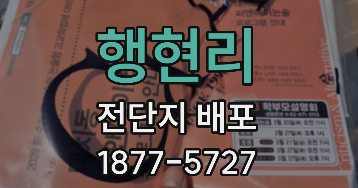 행현리 전단지 배포