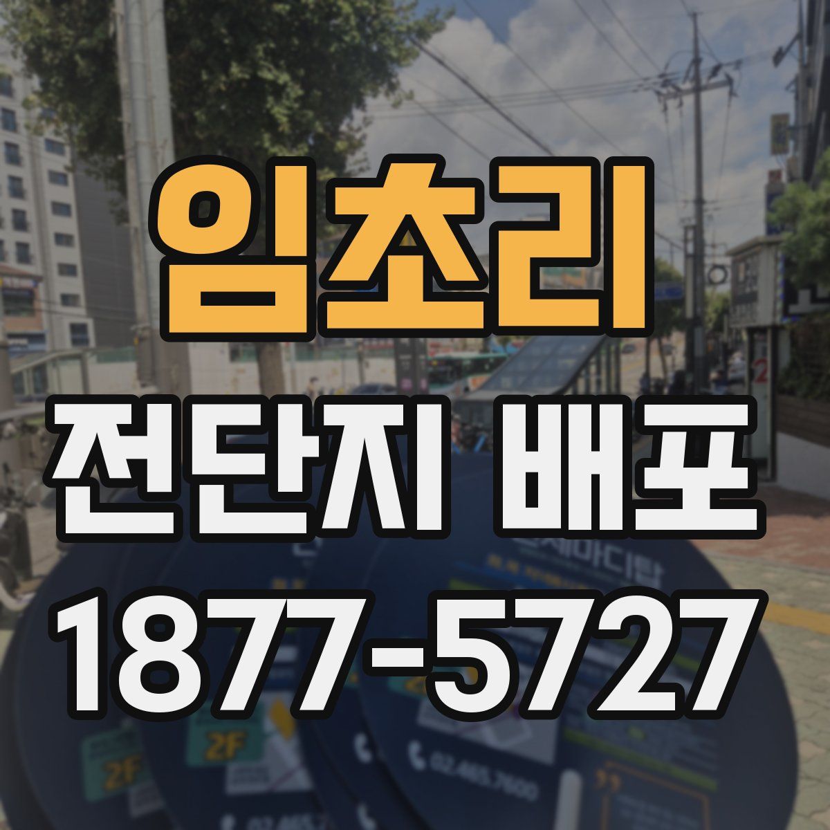 임초리 전단지 배포