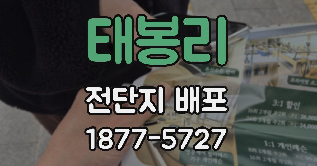 태봉리 전단지 배포