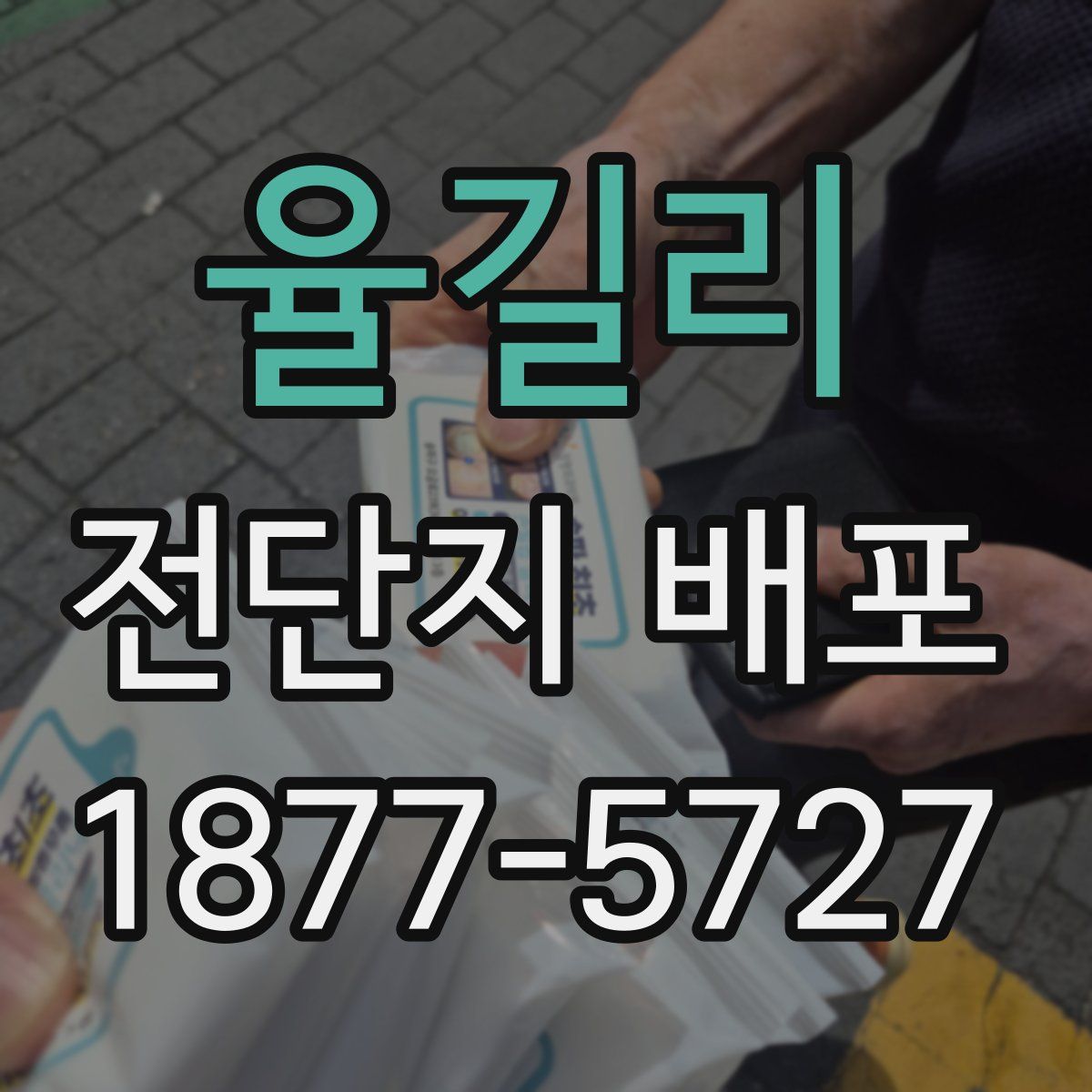 율길리 전단지 배포