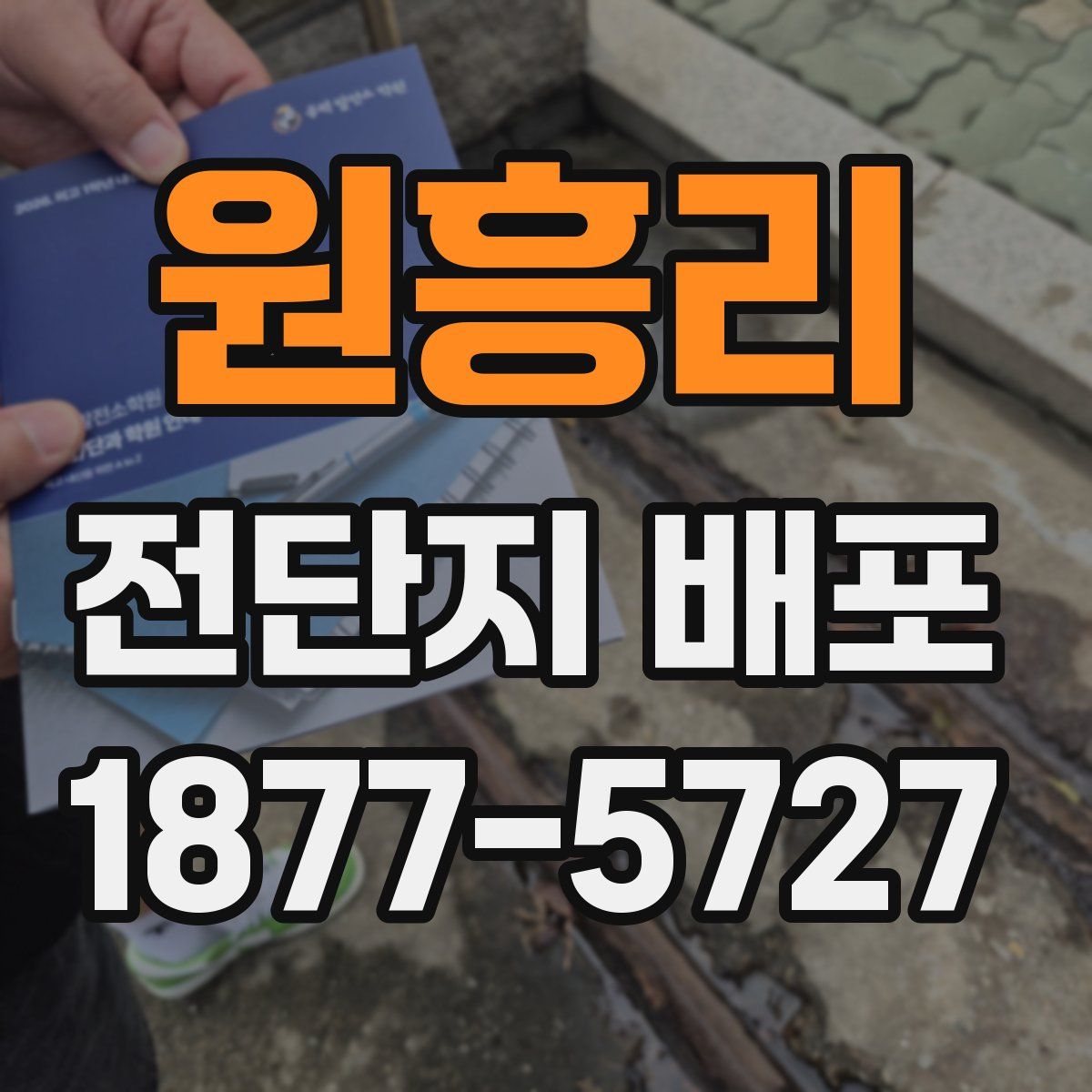 원흥리 전단지 배포