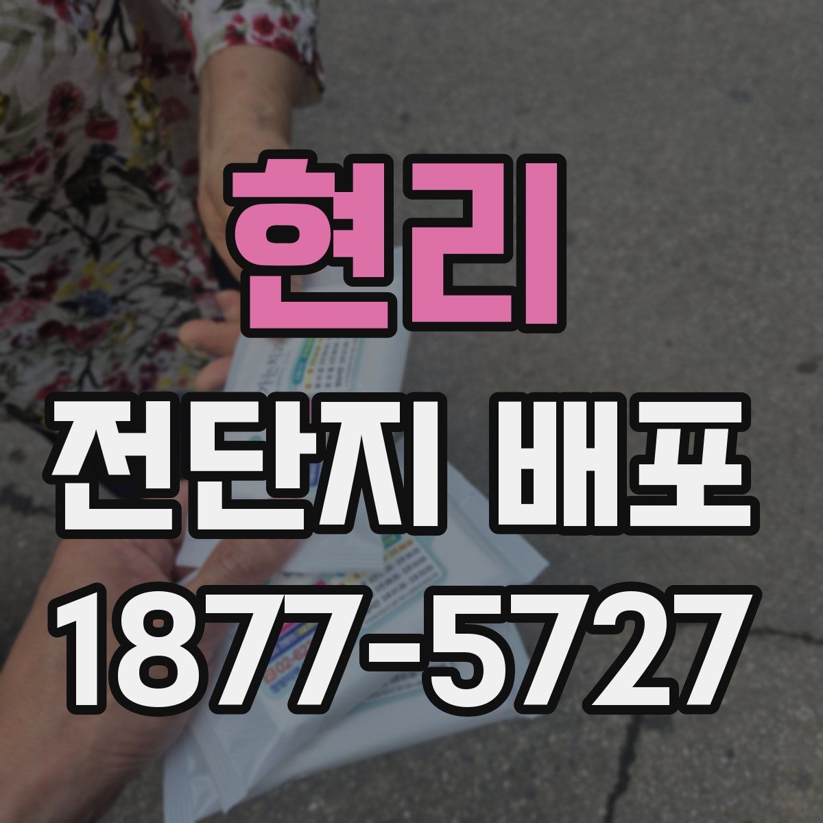 현리 전단지 배포