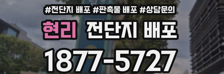 현리 전단지 배포