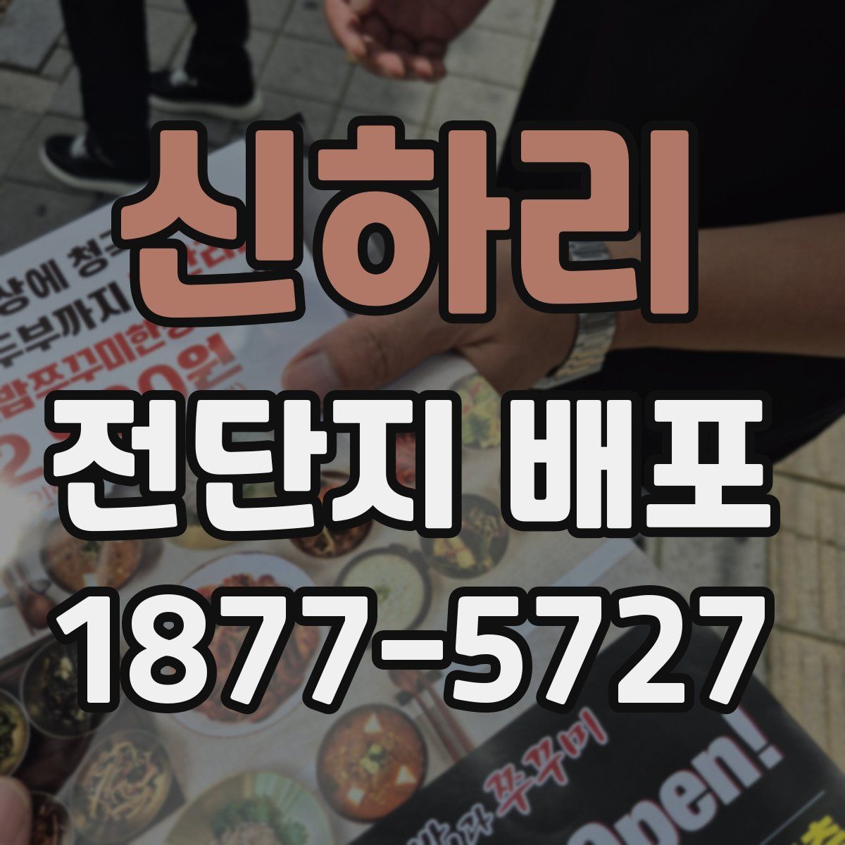신하리 전단지 배포