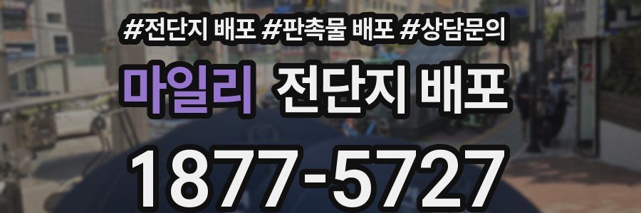 마일리 전단지 배포