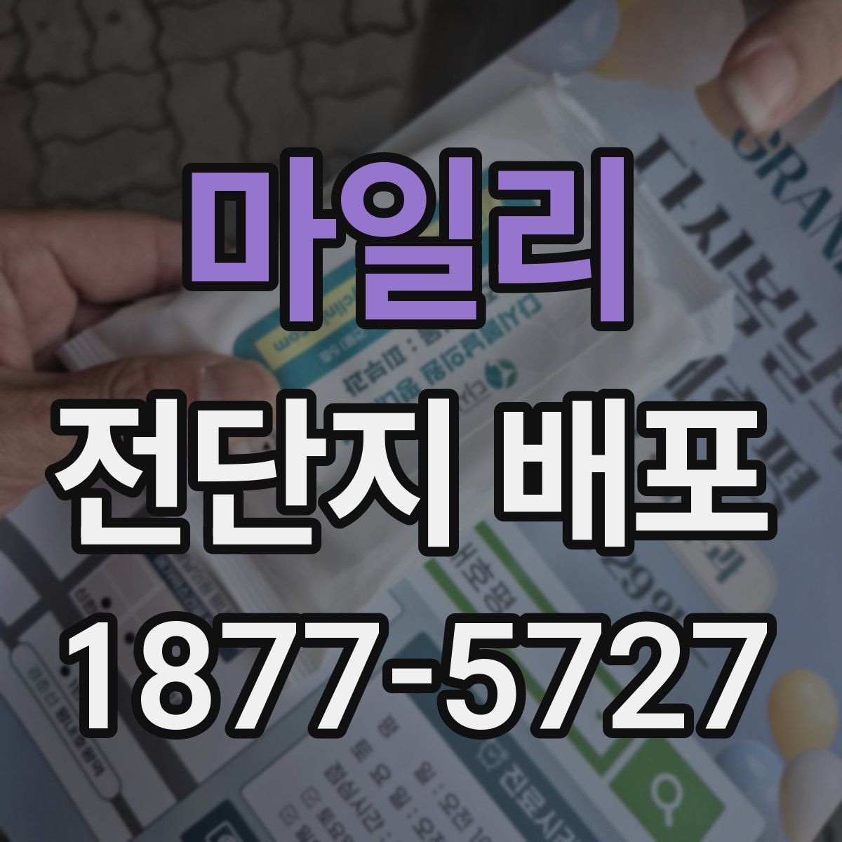 마일리 전단지 배포