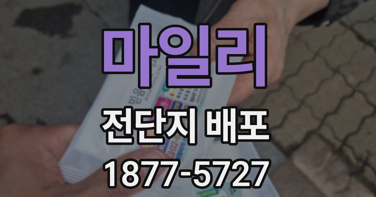 마일리 전단지 배포