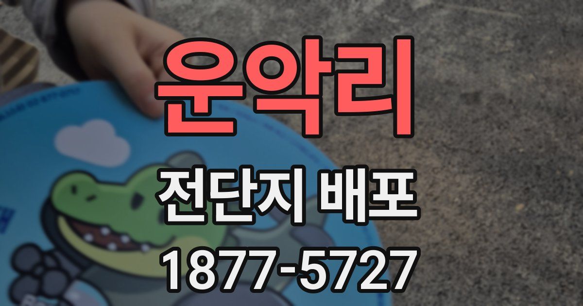 운악리 전단지 배포