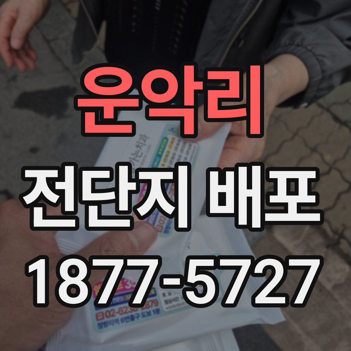 운악리 전단지 배포