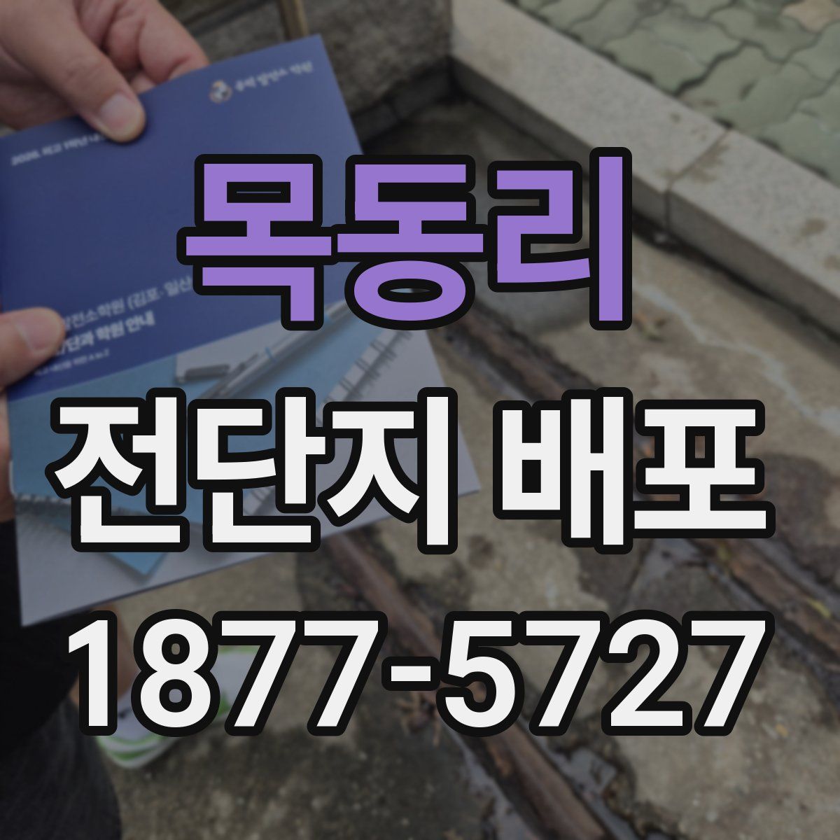목동리 전단지 배포