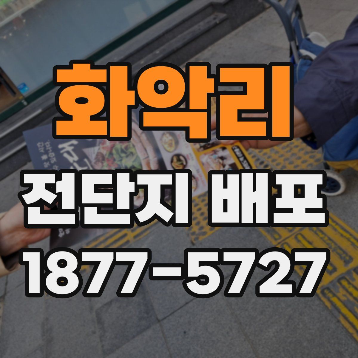 화악리 전단지 배포