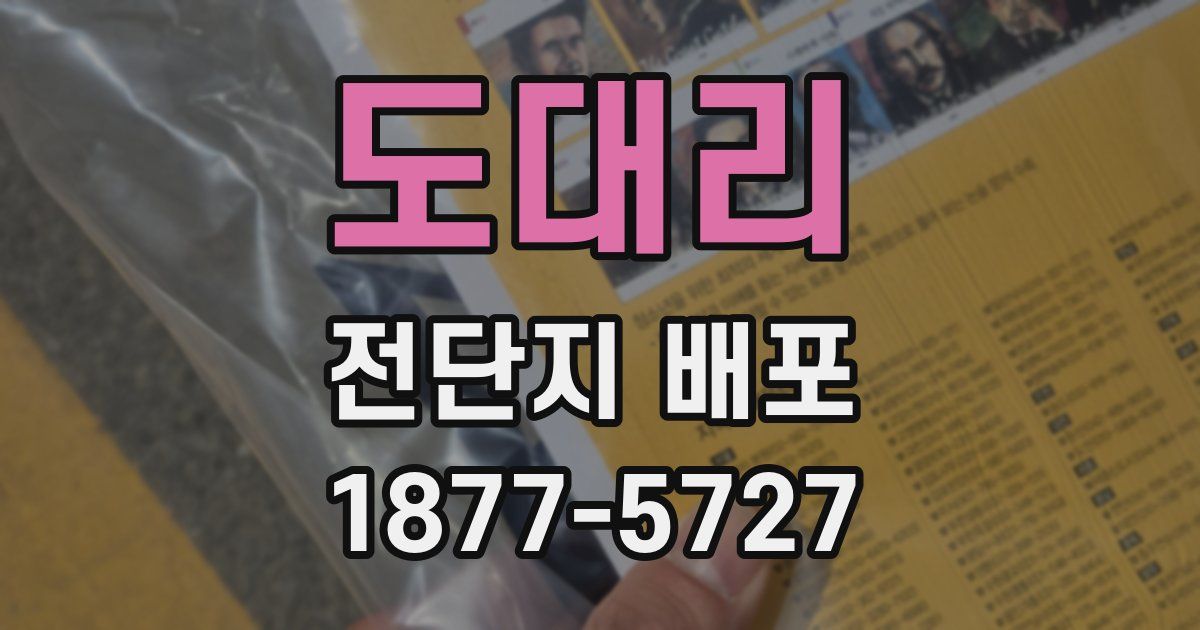 도대리 전단지 배포