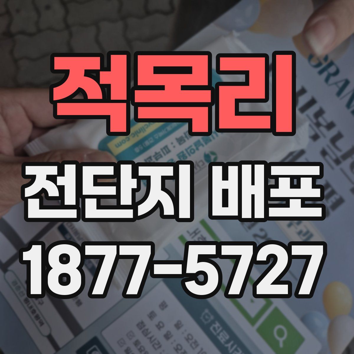 적목리 전단지 배포