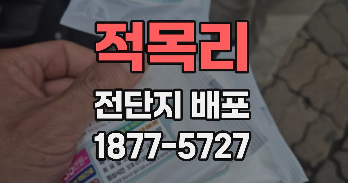 적목리 전단지 배포