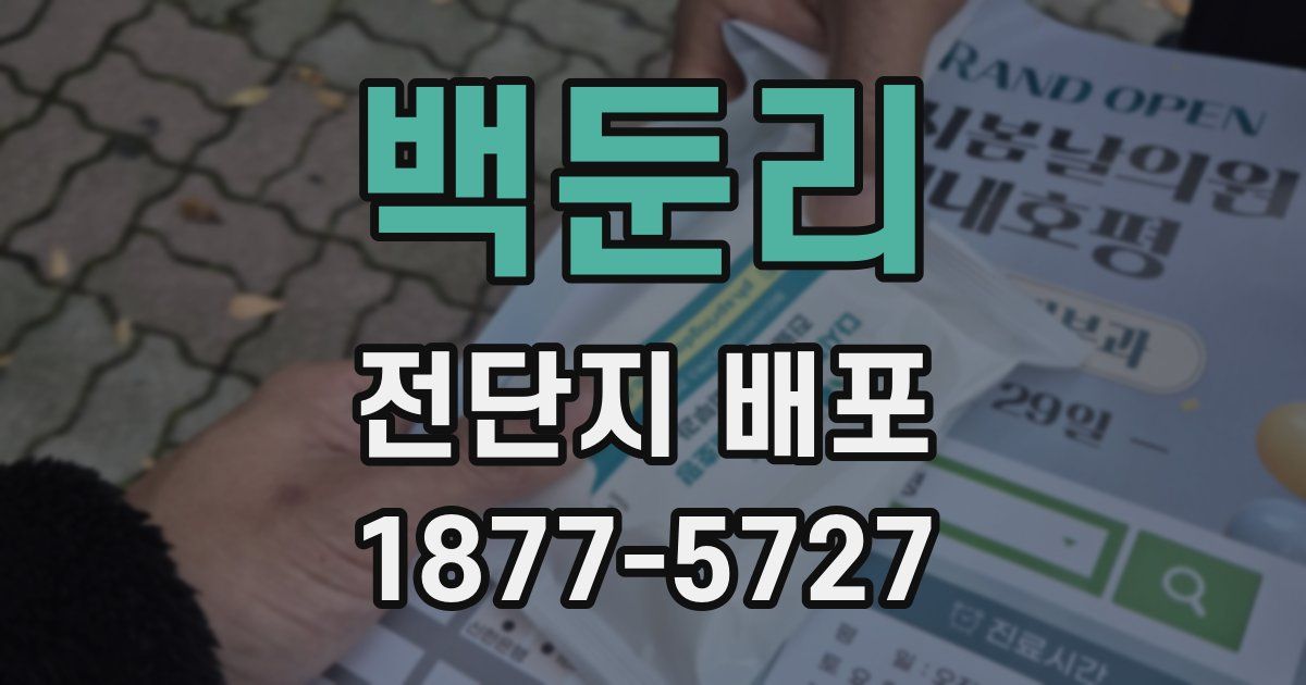 백둔리 전단지 배포