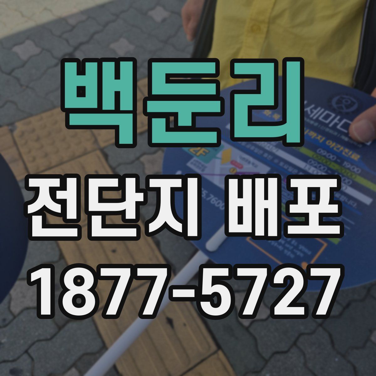 백둔리 전단지 배포