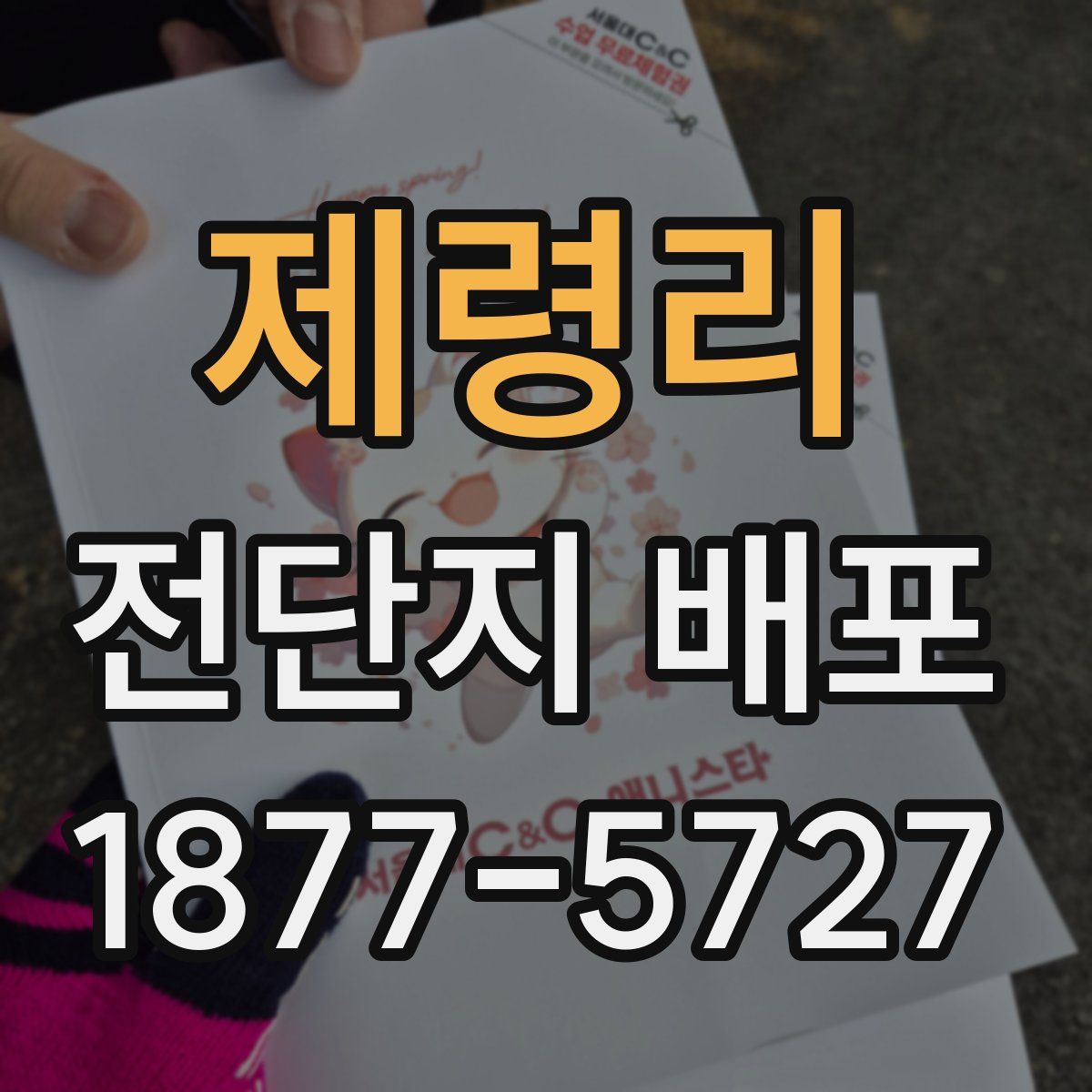제령리 전단지 배포