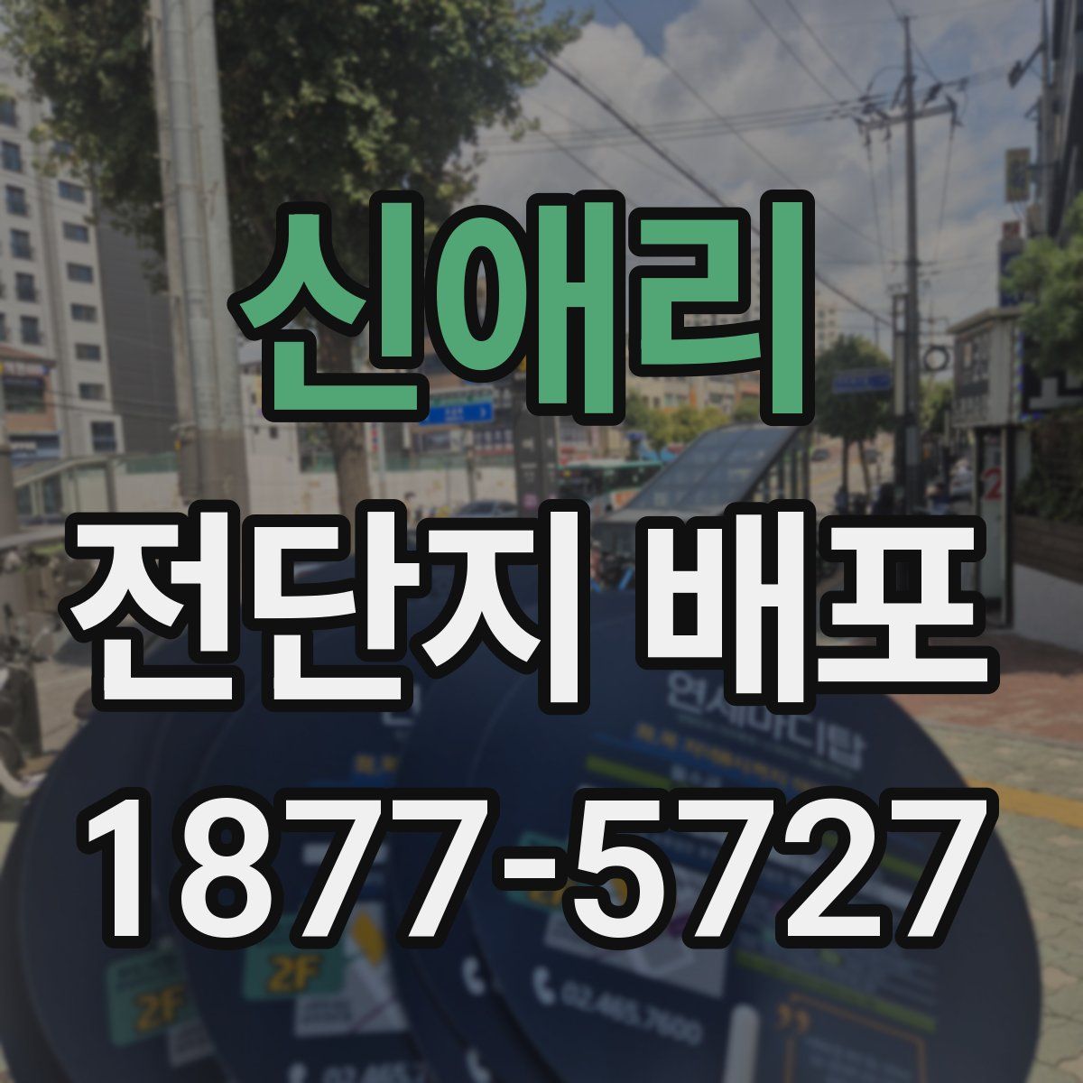 신애리 전단지 배포