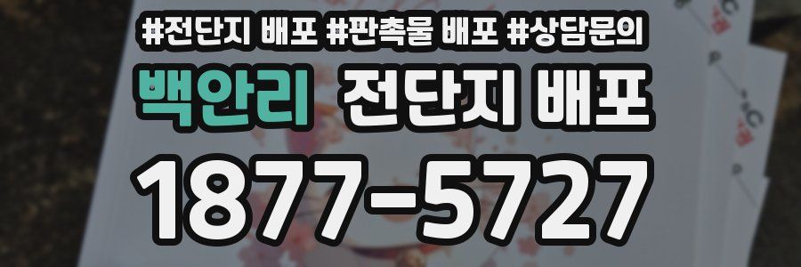 백안리 전단지 배포