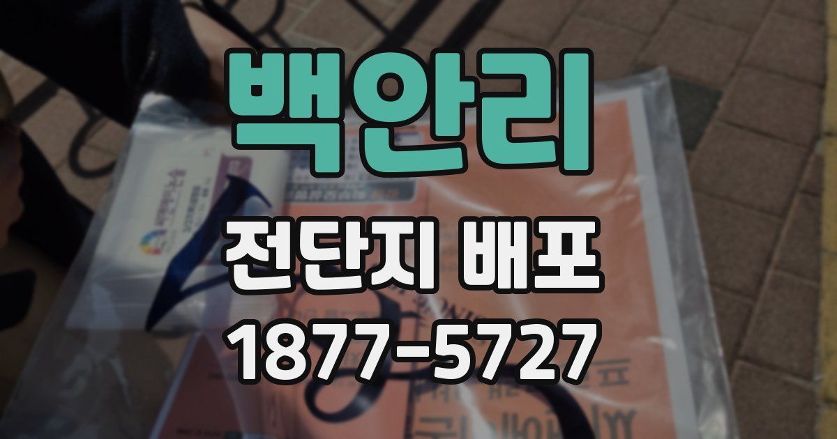 백안리 전단지 배포