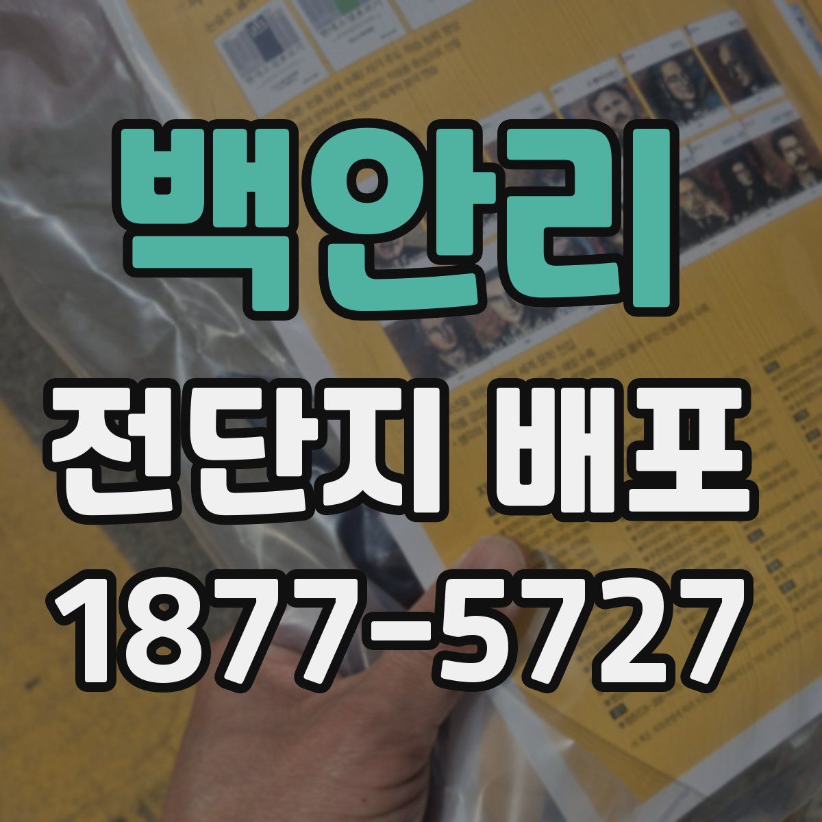 백안리 전단지 배포
