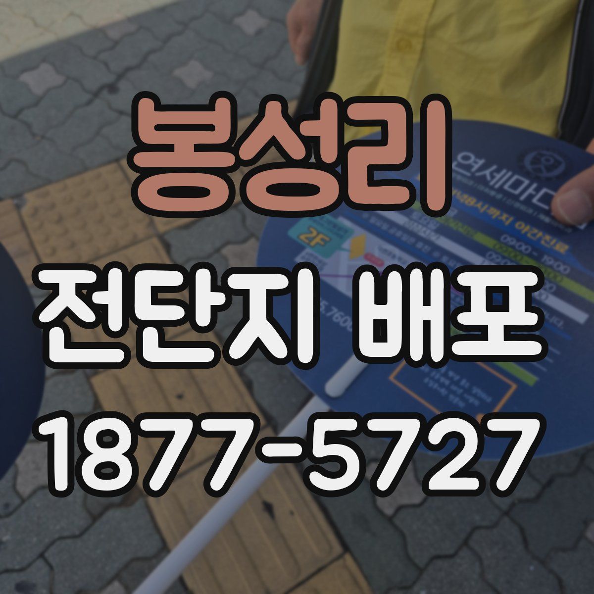 봉성리 전단지 배포