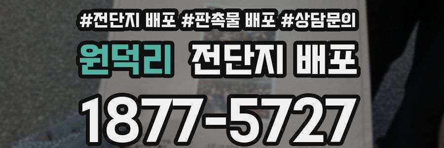 원덕리 전단지 배포
