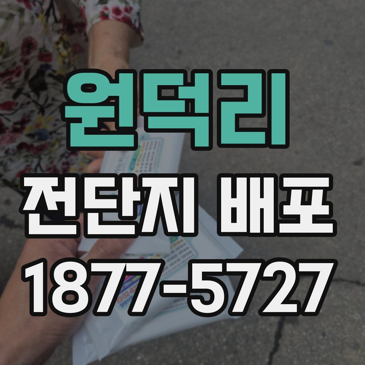 원덕리 전단지 배포