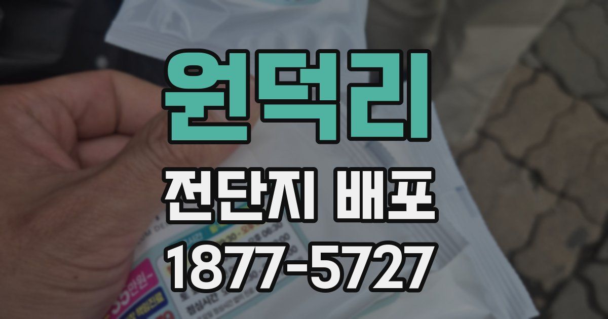 원덕리 전단지 배포