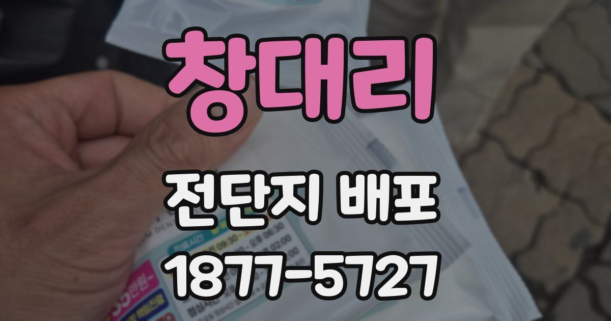 창대리 전단지 배포