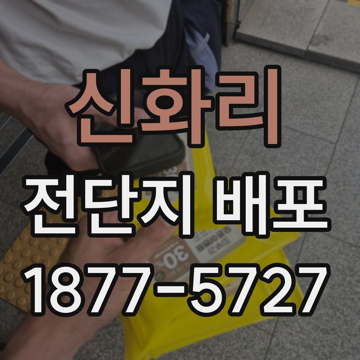 신화리 전단지 배포