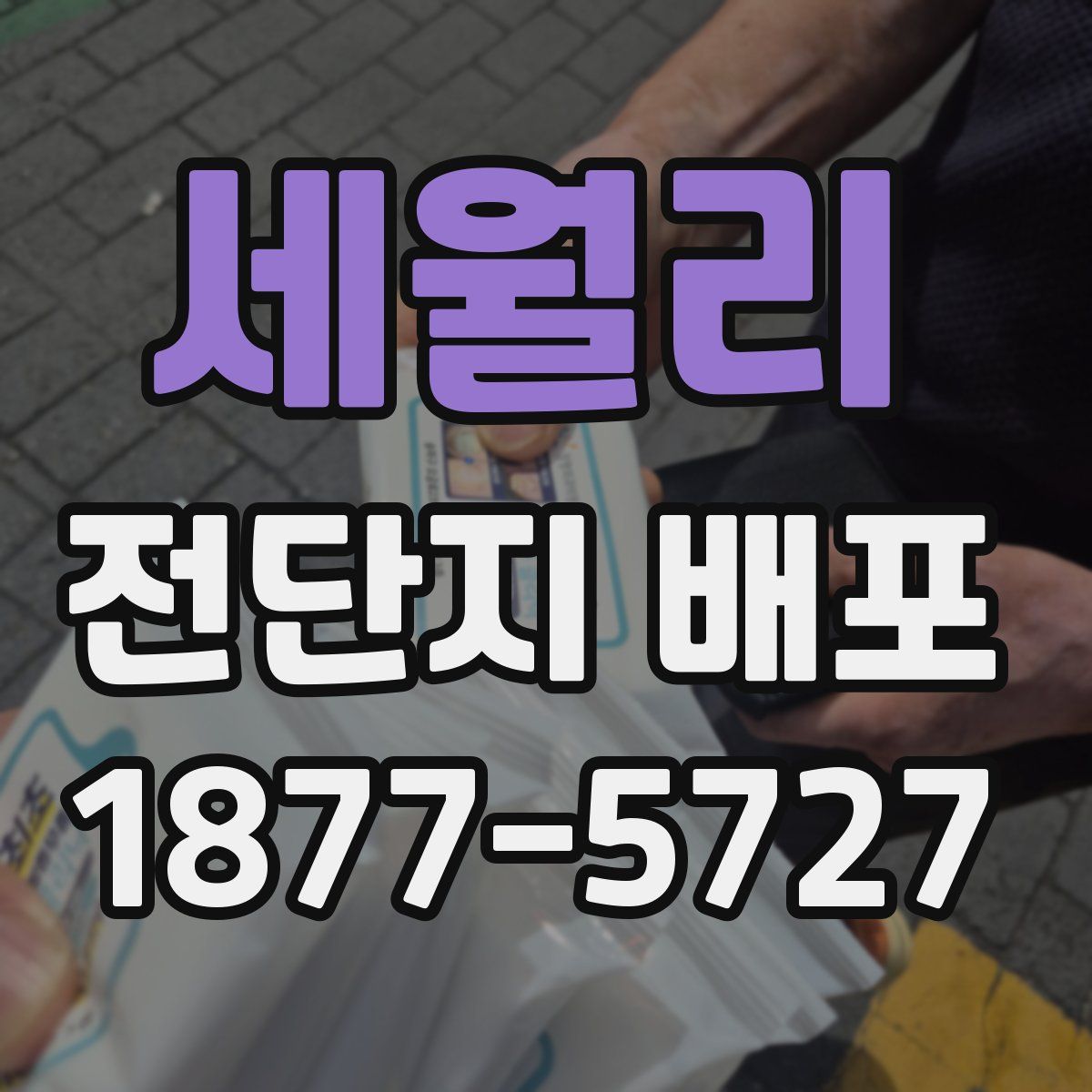 세월리 전단지 배포