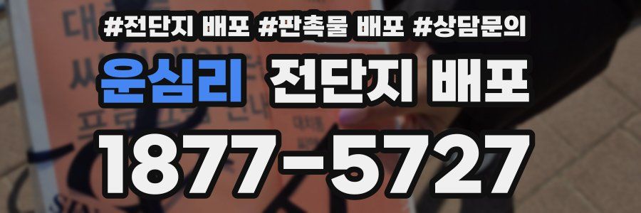 운심리 전단지 배포