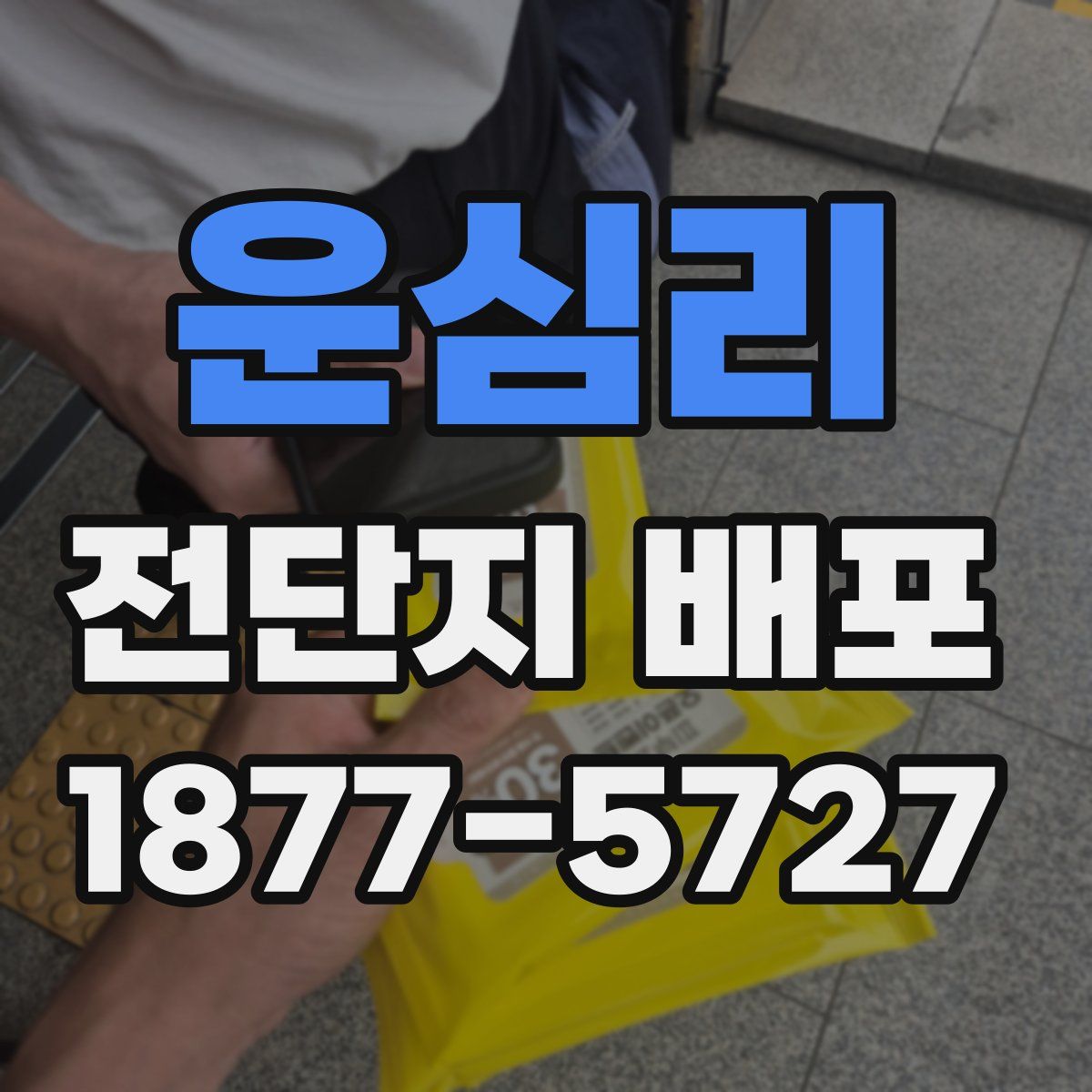 운심리 전단지 배포