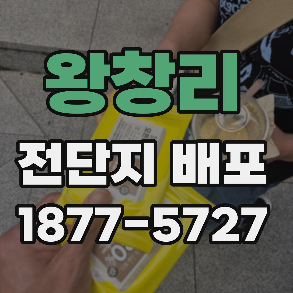 왕창리 전단지 배포