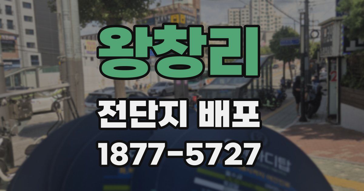 왕창리 전단지 배포