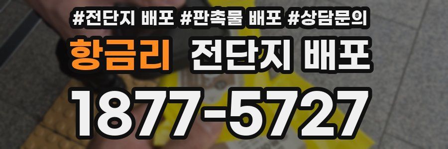 항금리 전단지 배포