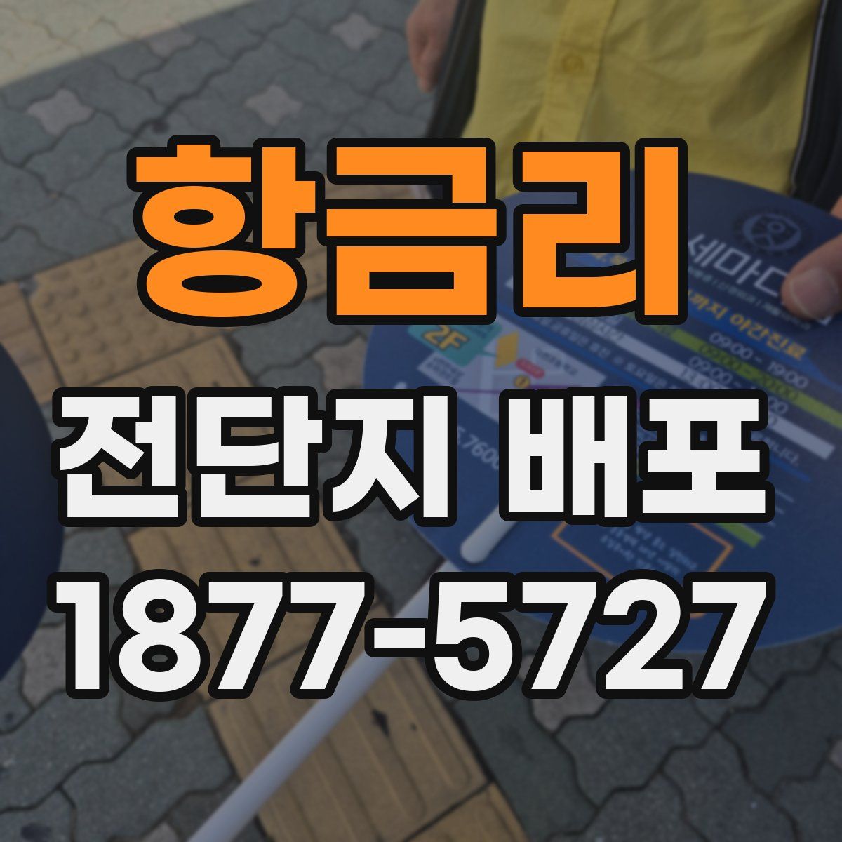 항금리 전단지 배포
