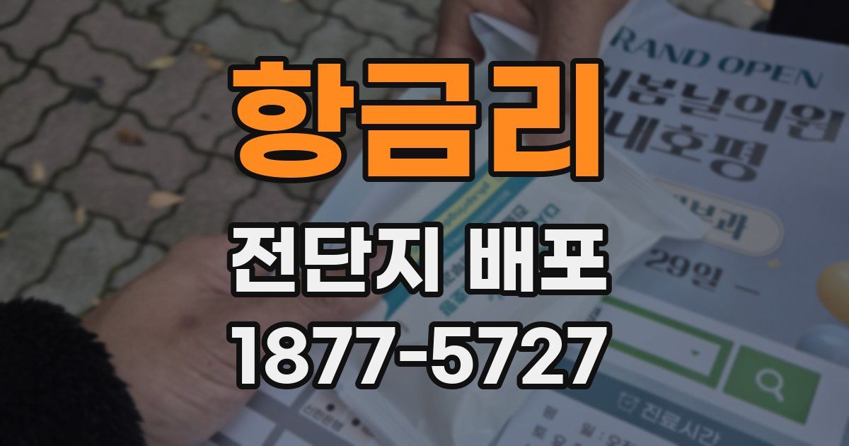 항금리 전단지 배포