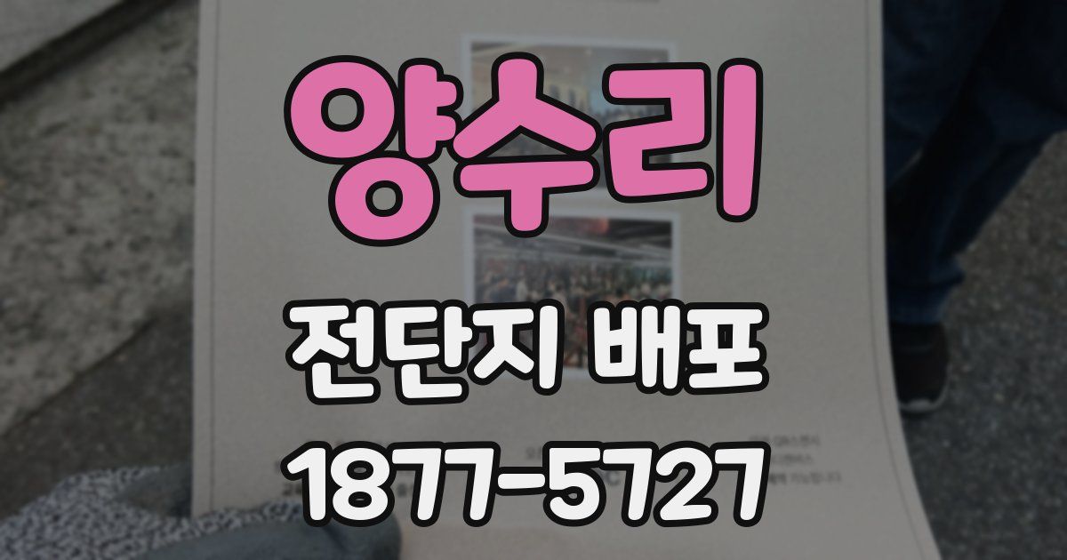 양수리 전단지 배포