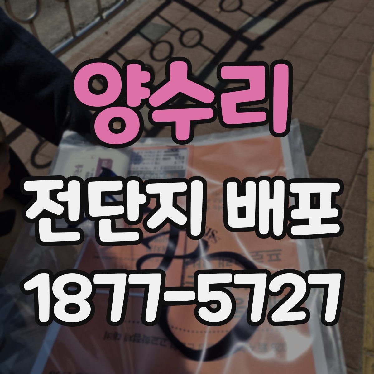 양수리 전단지 배포