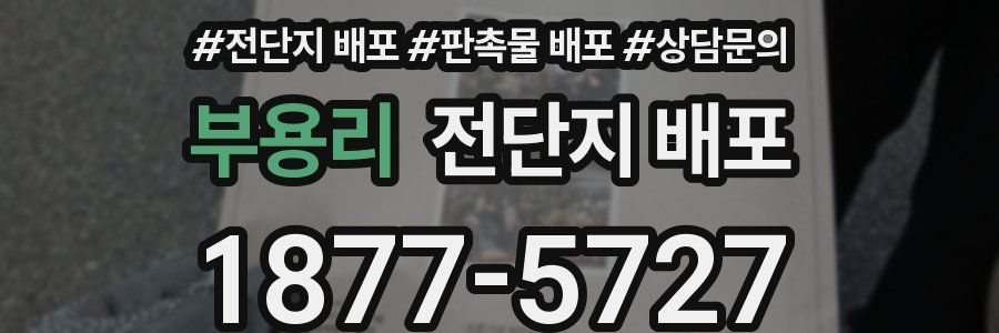 부용리 전단지 배포